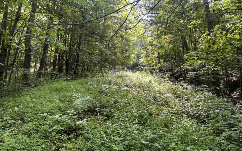 TBD Comanche Drive, Wallace, West Virginia 26448, ,Lots/land,For Sale,Comanche,10161049