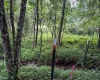 TBD Comanche Drive, Wallace, West Virginia 26448, ,Lots/land,For Sale,Comanche,10161049