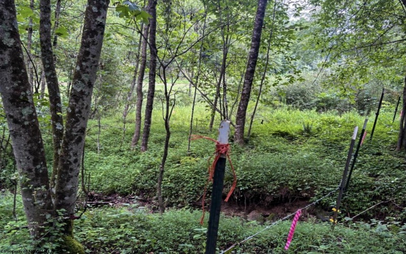 TBD Comanche Drive, Wallace, West Virginia 26448, ,Lots/land,For Sale,Comanche,10161049