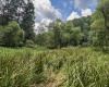 TBD Comanche Drive, Wallace, West Virginia 26448, ,Lots/land,For Sale,Comanche,10161049