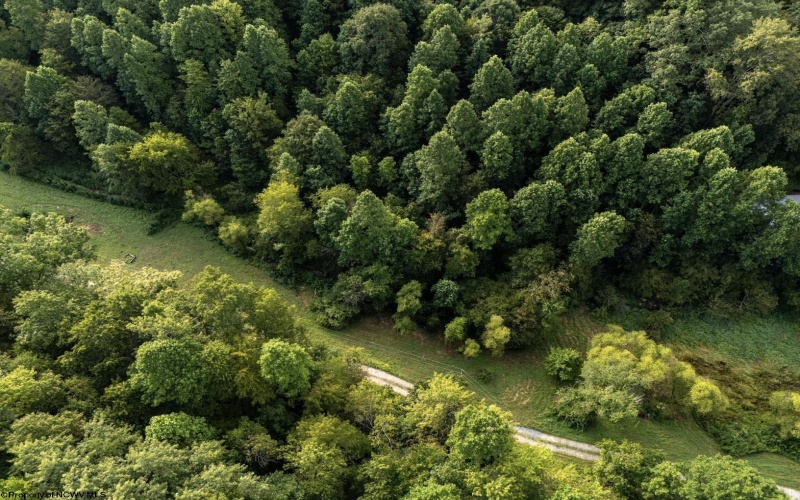 TBD Comanche Drive, Wallace, West Virginia 26448, ,Lots/land,For Sale,Comanche,10161049