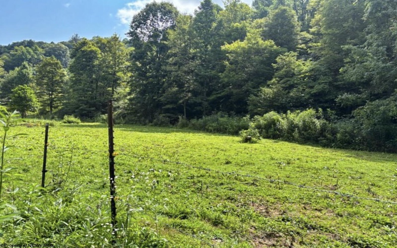 TBD Comanche Drive, Wallace, West Virginia 26448, ,Lots/land,For Sale,Comanche,10161049