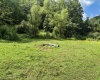 TBD Comanche Drive, Wallace, West Virginia 26448, ,Lots/land,For Sale,Comanche,10161049