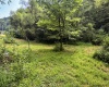 TBD Comanche Drive, Wallace, West Virginia 26448, ,Lots/land,For Sale,Comanche,10161049