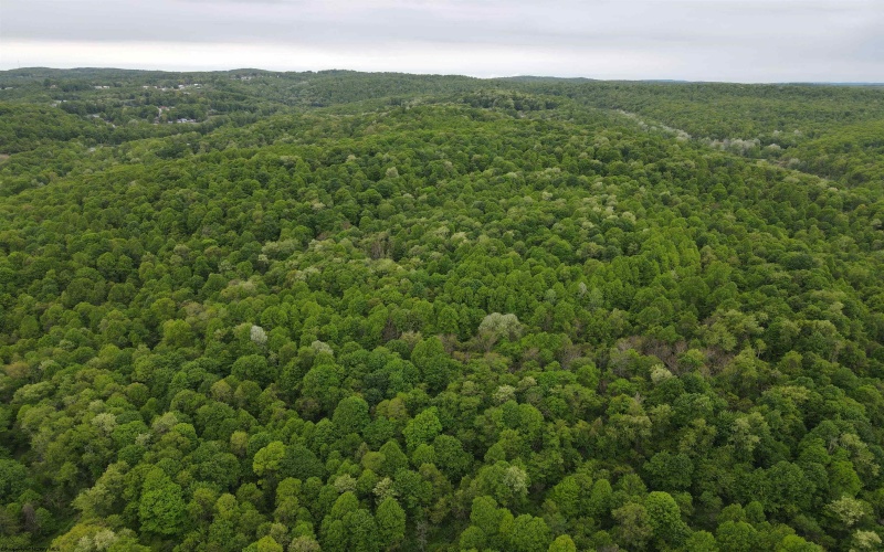 3372 Dinkenberger Road, Kingwood, West Virginia 26537, ,Lots/land,For Sale,Dinkenberger,10158052