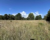 TBD Chenoweth Creek Road, Elkins, West Virginia 26241, ,Lots/land,For Sale,Chenoweth Creek,10161088