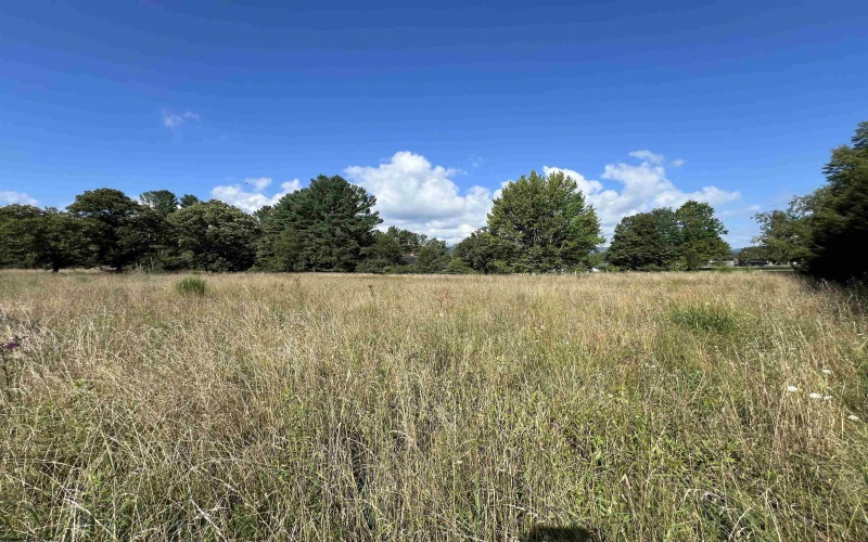 TBD Chenoweth Creek Road, Elkins, West Virginia 26241, ,Lots/land,For Sale,Chenoweth Creek,10161088