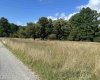 TBD Chenoweth Creek Road, Elkins, West Virginia 26241, ,Lots/land,For Sale,Chenoweth Creek,10161088
