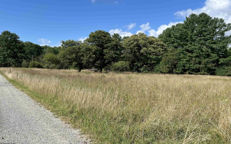 TBD Chenoweth Creek Road, Elkins, West Virginia 26241, ,Lots/land,For Sale,Chenoweth Creek,10161088