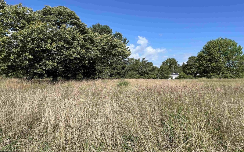 TBD Chenoweth Creek Road, Elkins, West Virginia 26241, ,Lots/land,For Sale,Chenoweth Creek,10161088