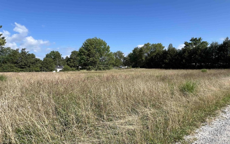TBD Chenoweth Creek Road, Elkins, West Virginia 26241, ,Lots/land,For Sale,Chenoweth Creek,10161088