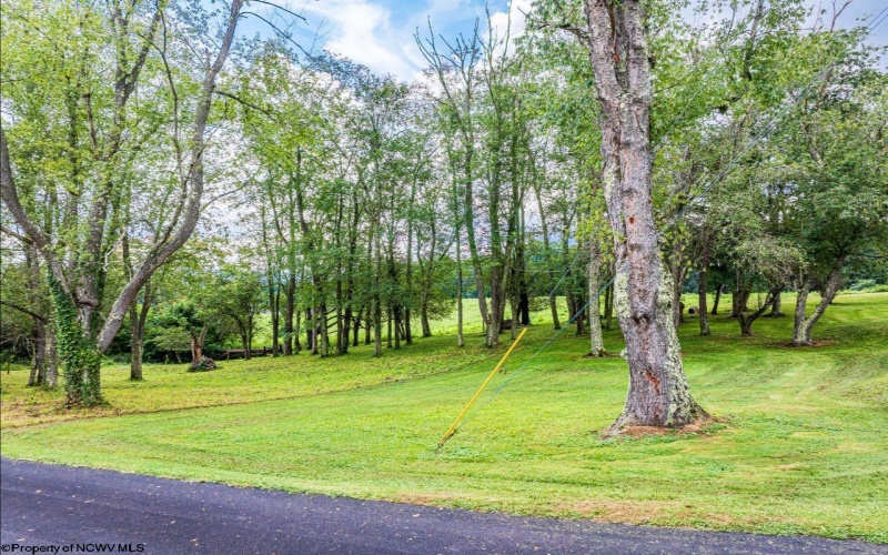 000 Highland Street, Kingwood, West Virginia 26537, ,Lots/land,For Sale,Highland,10161086