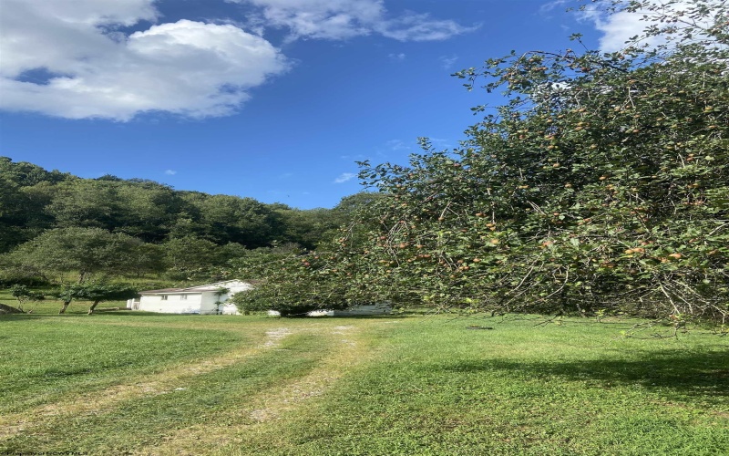 60 Marley Lane, Belington, West Virginia 26250, 3 Bedrooms Bedrooms, 5 Rooms Rooms,1 BathroomBathrooms,Single Family Detached,For Sale,Marley,10161081
