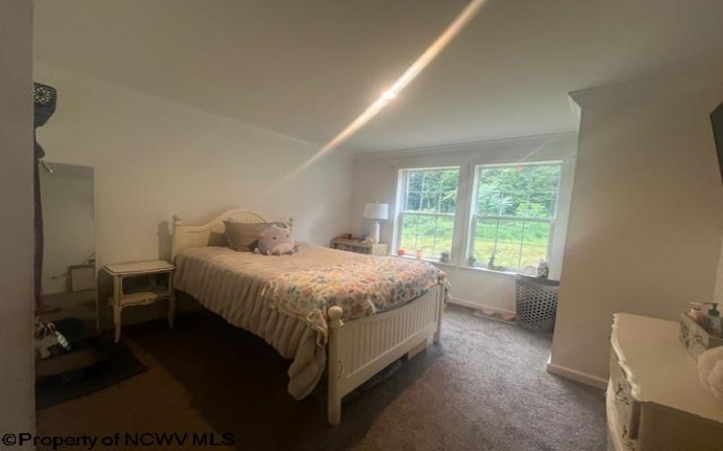 419 Deberry Lane, Bruceton Mills, West Virginia 26525, 3 Bedrooms Bedrooms, 6 Rooms Rooms,2 BathroomsBathrooms,Single Family Detached,For Sale,Deberry,10161099