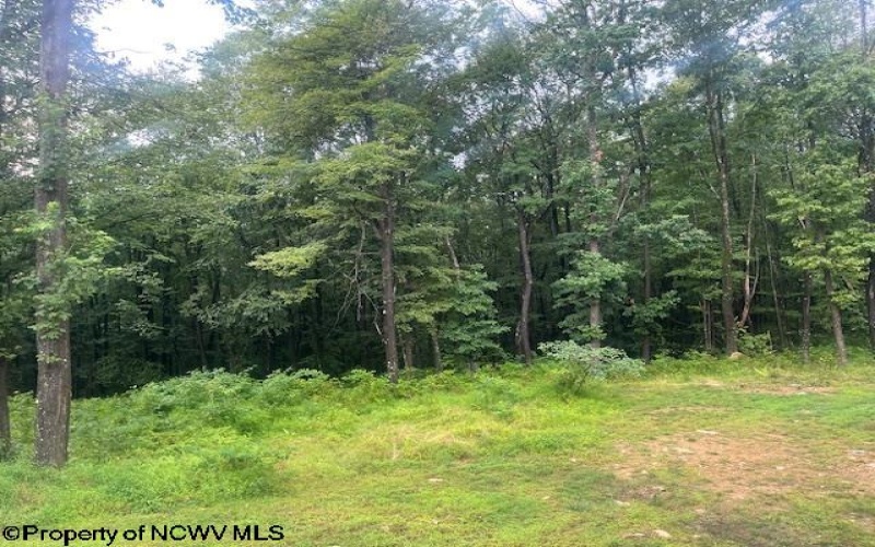 419 Deberry Lane, Bruceton Mills, West Virginia 26525, 3 Bedrooms Bedrooms, 6 Rooms Rooms,2 BathroomsBathrooms,Single Family Detached,For Sale,Deberry,10161099