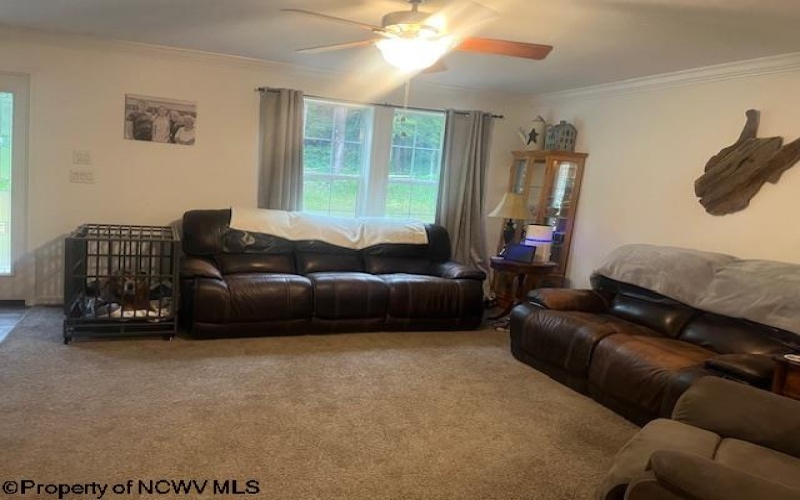 419 Deberry Lane, Bruceton Mills, West Virginia 26525, 3 Bedrooms Bedrooms, 6 Rooms Rooms,2 BathroomsBathrooms,Single Family Detached,For Sale,Deberry,10161099