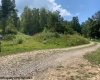 1127 Goff School Road, Belington, West Virginia 26250, 3 Bedrooms Bedrooms, 6 Rooms Rooms,2 BathroomsBathrooms,Single Family Detached,For Sale,Goff School,10161098