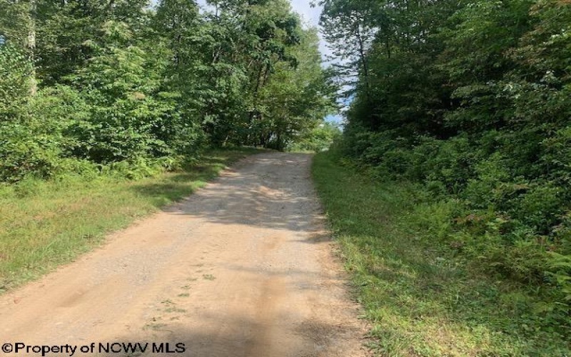 1127 Goff School Road, Belington, West Virginia 26250, 3 Bedrooms Bedrooms, 6 Rooms Rooms,2 BathroomsBathrooms,Single Family Detached,For Sale,Goff School,10161098