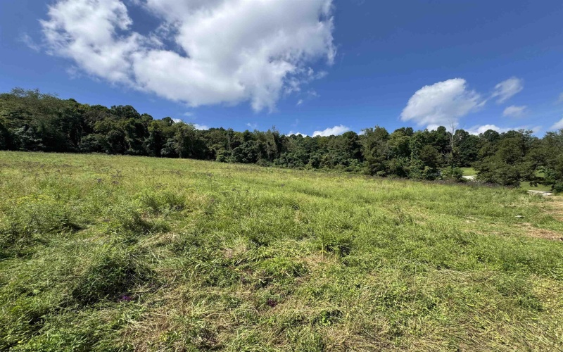 233 K Street, Farmington, West Virginia 26571, 4 Bedrooms Bedrooms, 6 Rooms Rooms,1 BathroomBathrooms,Single Family Detached,For Sale,K,10161126