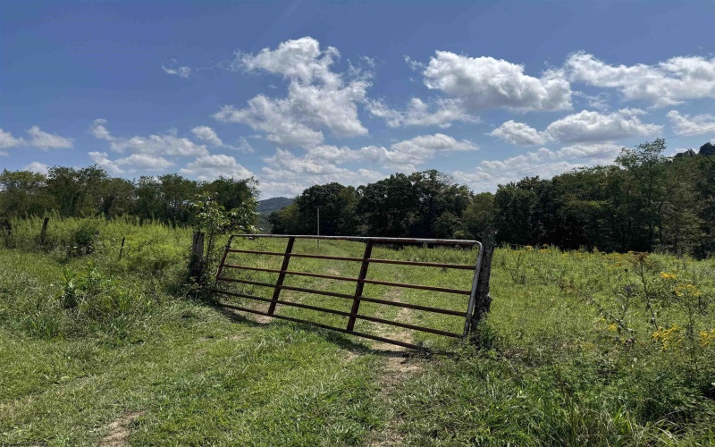 233 K Street, Farmington, West Virginia 26571, 4 Bedrooms Bedrooms, 6 Rooms Rooms,1 BathroomBathrooms,Single Family Detached,For Sale,K,10161126