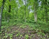 TBD Hopewell Road, Fairmont, West Virginia 26554, ,Lots/land,For Sale,Hopewell,10154195