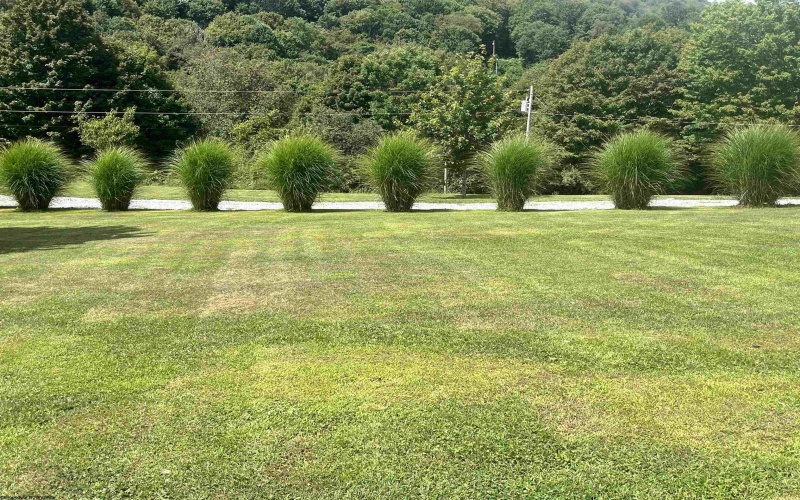 136 Snake Run, Monterville, West Virginia 26282-1100, 3 Bedrooms Bedrooms, 7 Rooms Rooms,2 BathroomsBathrooms,Single Family Detached,For Sale,Snake,10161113