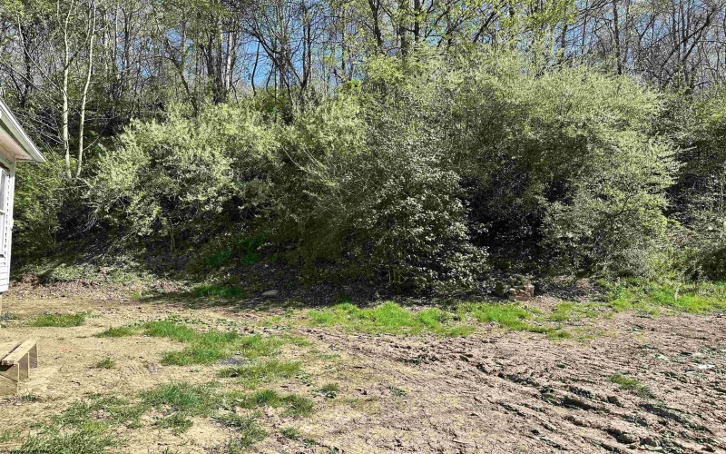 1825 McWhorter Road, Lost Creek, West Virginia 26385, 3 Bedrooms Bedrooms, 5 Rooms Rooms,1 BathroomBathrooms,Single Family Detached,For Sale,McWhorter,10161114