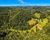 650 Sam Cavins Road, West Union, West Virginia 26456, 3 Bedrooms Bedrooms, 7 Rooms Rooms,3 BathroomsBathrooms,Single Family Detached,For Sale,Sam Cavins,10161112
