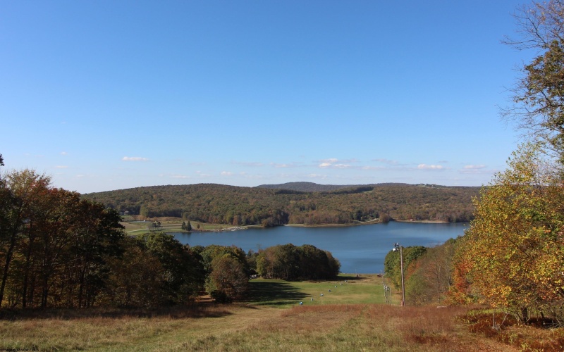 Lot 256 Azalea Drive, Terra Alta, West Virginia 26764, ,Lots/land,For Sale,Azalea,10161142