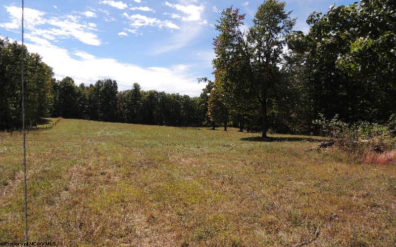 489 Slab Camp Road, Independence, West Virginia 26374, 4 Bedrooms Bedrooms, 11 Rooms Rooms,4 BathroomsBathrooms,Single Family Detached,For Sale,Slab Camp,10161145