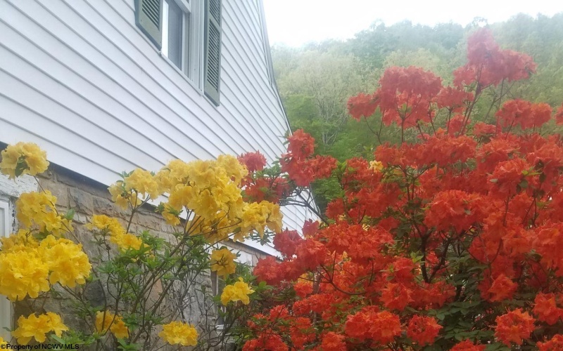 489 Slab Camp Road, Independence, West Virginia 26374, 4 Bedrooms Bedrooms, 11 Rooms Rooms,4 BathroomsBathrooms,Single Family Detached,For Sale,Slab Camp,10161145