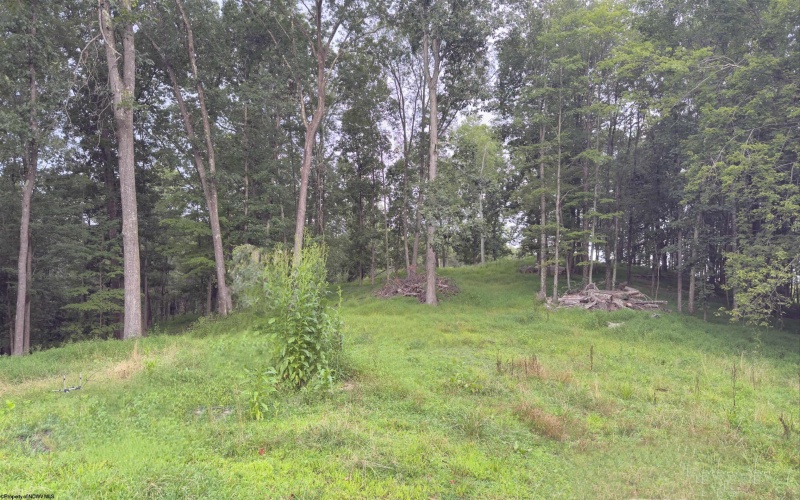 1141 PLUM RUN Road, Grafton, West Virginia 26354, 3 Bedrooms Bedrooms, 11 Rooms Rooms,2 BathroomsBathrooms,Single Family Detached,For Sale,PLUM RUN,10161144