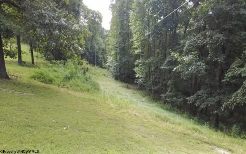 1141 PLUM RUN Road, Grafton, West Virginia 26354, 3 Bedrooms Bedrooms, 11 Rooms Rooms,2 BathroomsBathrooms,Single Family Detached,For Sale,PLUM RUN,10161144