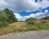 TBD Rt. 219/250 South, Elkins, West Virginia 26241, ,Lots/land,For Sale,Rt. 219/250,10161161