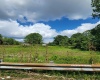 TBD Rt. 219/250 South, Elkins, West Virginia 26241, ,Lots/land,For Sale,Rt. 219/250,10161161
