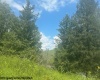 TBD Barbour County Highway, Belington, West Virginia 26250, ,Lots/land,For Sale,Barbour County,10161169