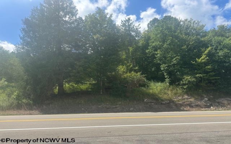 TBD Barbour County Highway, Belington, West Virginia 26250, ,Lots/land,For Sale,Barbour County,10161169