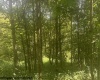 TBD Barbour County Highway, Belington, West Virginia 26250, ,Lots/land,For Sale,Barbour County,10161169