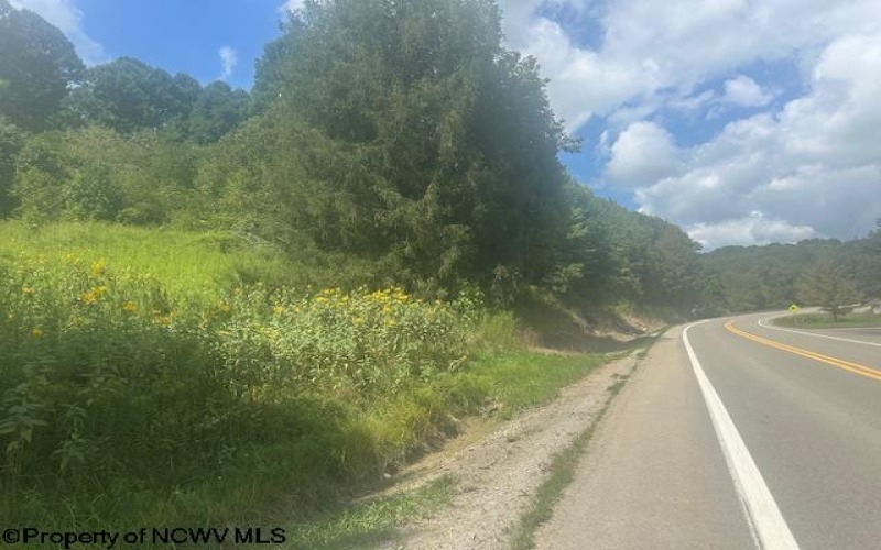 TBD Barbour County Highway, Belington, West Virginia 26250, ,Lots/land,For Sale,Barbour County,10161169