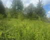 TBD Barbour County Highway, Belington, West Virginia 26250, ,Lots/land,For Sale,Barbour County,10161169