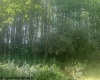 TBD Barbour County Highway, Belington, West Virginia 26250, ,Lots/land,For Sale,Barbour County,10161169
