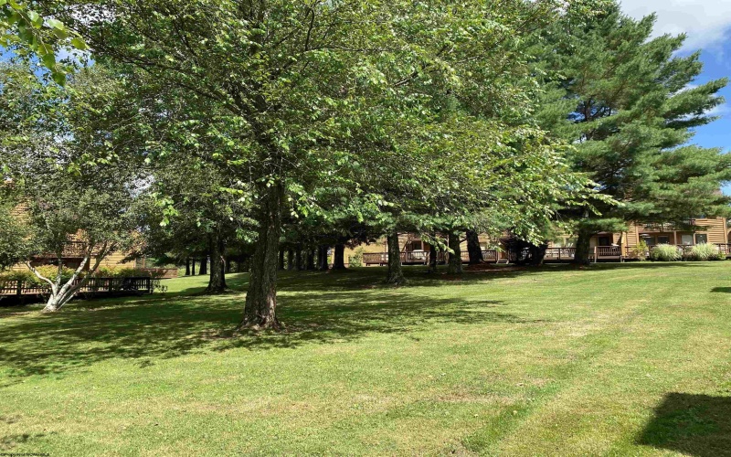 431 Deerfield Circle, Davis, West Virginia 26260, 3 Bedrooms Bedrooms, 8 Rooms Rooms,3 BathroomsBathrooms,Single Family Attached,For Sale,Deerfield,10161177