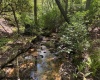 TBD Branch Hollow, Bruceton Mills, West Virginia 26525, ,Lots/land,For Sale,Branch,10161173