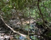 TBD Branch Hollow, Bruceton Mills, West Virginia 26525, ,Lots/land,For Sale,Branch,10161173