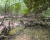 TBD Branch Hollow, Bruceton Mills, West Virginia 26525, ,Lots/land,For Sale,Branch,10161173