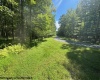TBD Branch Hollow, Bruceton Mills, West Virginia 26525, ,Lots/land,For Sale,Branch,10161173