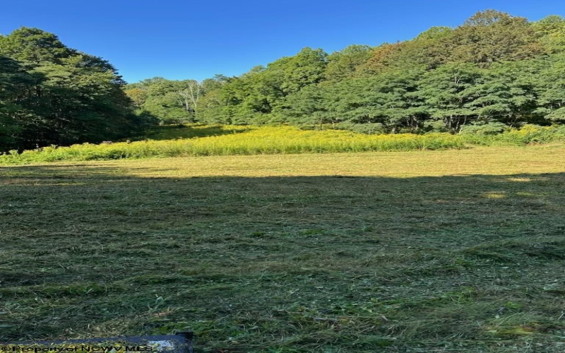 TBD KUMBRABOW FOREST Road, Huttonsville, West Virginia 26273, ,Lots/land,For Sale,KUMBRABOW FOREST,10155777