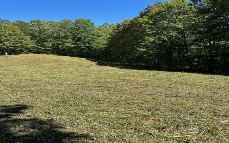 TBD KUMBRABOW FOREST Road, Huttonsville, West Virginia 26273, ,Lots/land,For Sale,KUMBRABOW FOREST,10155777