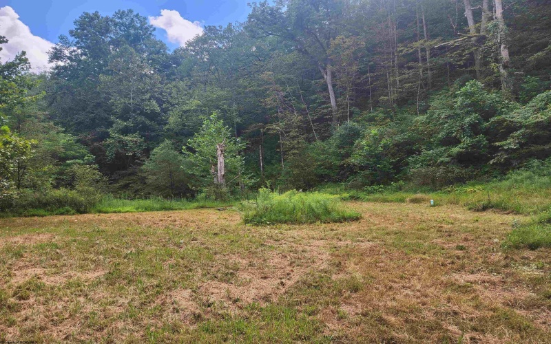 166 Brown Road, Wallace, West Virginia 26448-8547, ,Lots/land,For Sale,Brown,10161210