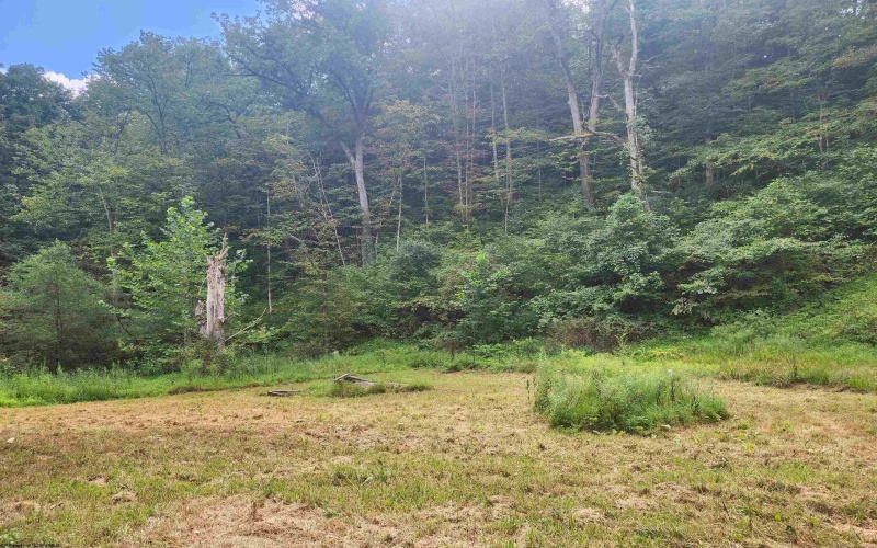 166 Brown Road, Wallace, West Virginia 26448-8547, ,Lots/land,For Sale,Brown,10161210